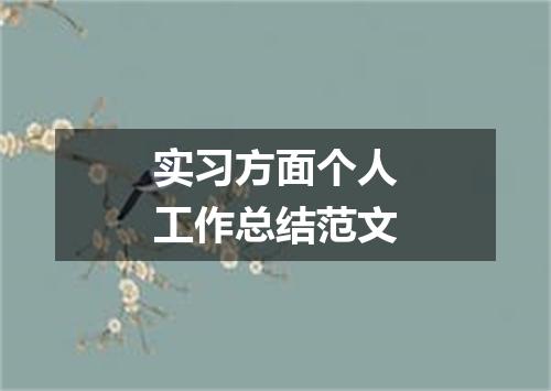 实习方面个人工作总结范文
