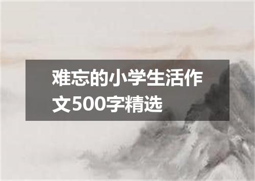难忘的小学生活作文500字精选