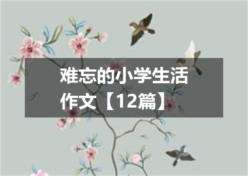难忘的小学生活作文【12篇】