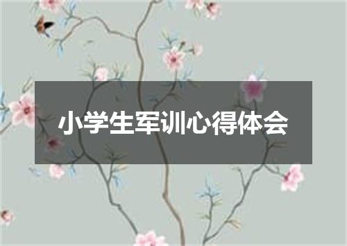 小学生军训心得体会