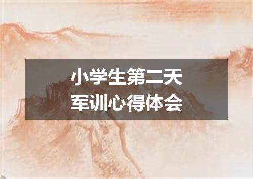 小学生第二天军训心得体会