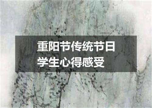 重阳节传统节日学生心得感受