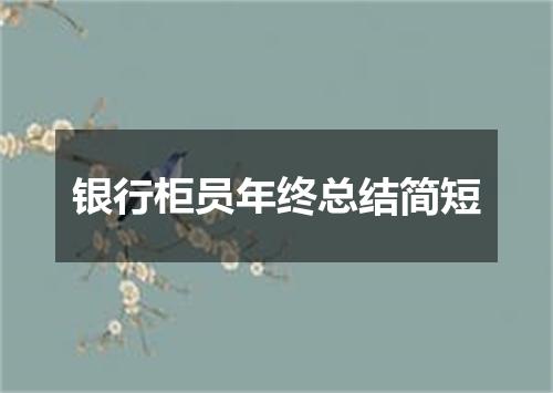 银行柜员年终总结简短