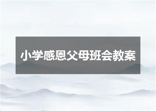 小学感恩父母班会教案