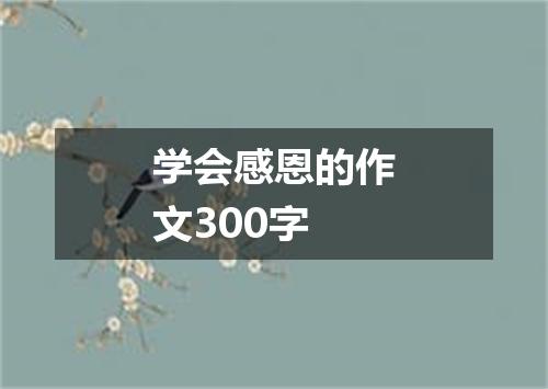 学会感恩的作文300字