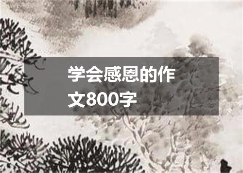 学会感恩的作文800字