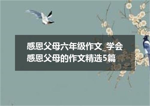 感恩父母六年级作文_学会感恩父母的作文精选5篇