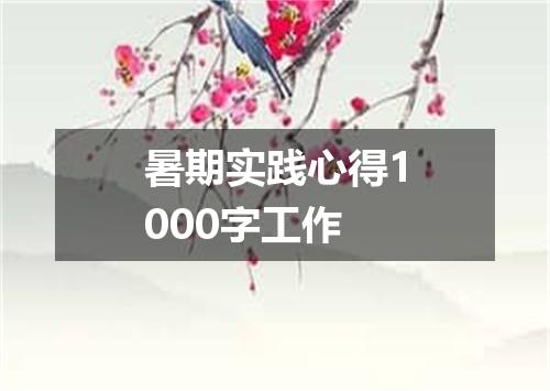 暑期实践心得1000字工作