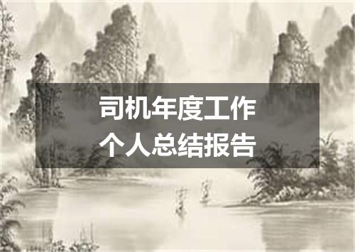 司机年度工作个人总结报告