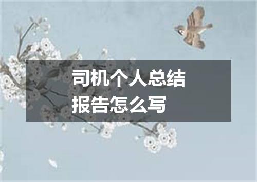 司机个人总结报告怎么写