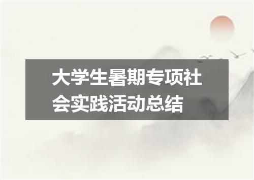 大学生暑期专项社会实践活动总结