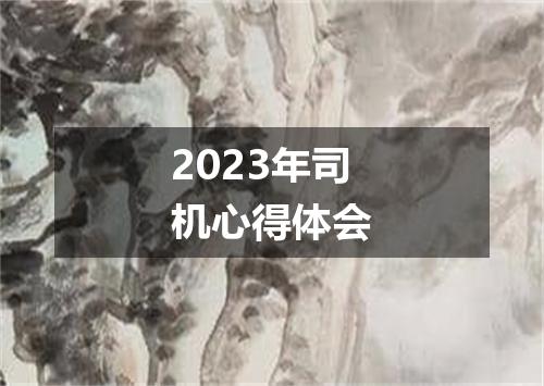2023年司机心得体会