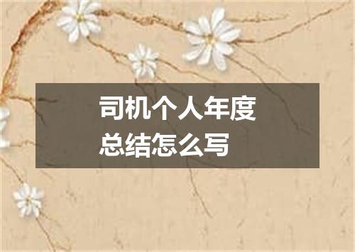 司机个人年度总结怎么写