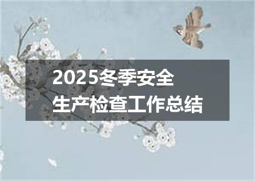 2025冬季安全生产检查工作总结