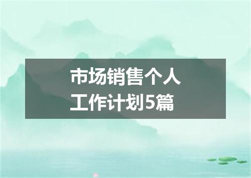 市场销售个人工作计划5篇