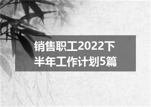 销售职工2022下半年工作计划5篇