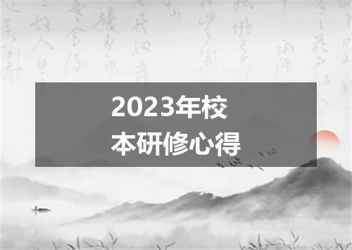 2023年校本研修心得