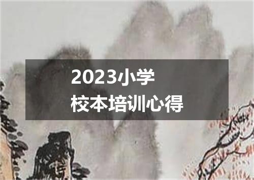 2023小学校本培训心得