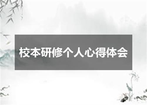 校本研修个人心得体会