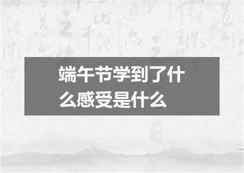端午节学到了什么感受是什么