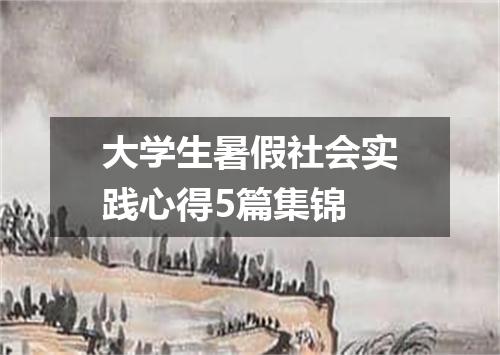 大学生暑假社会实践心得5篇集锦