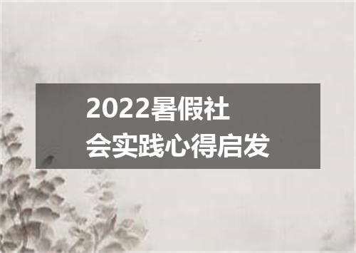 2022暑假社会实践心得启发