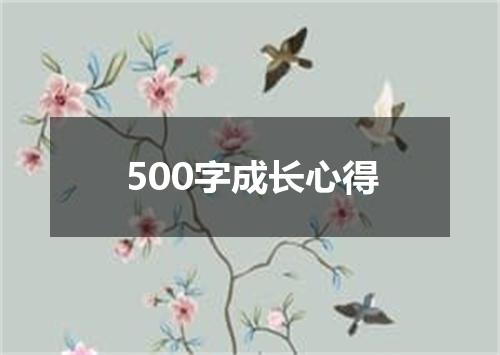 500字成长心得