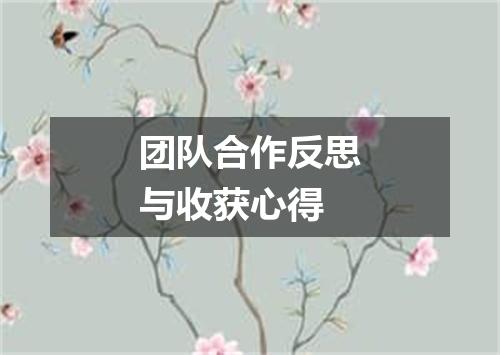 团队合作反思与收获心得