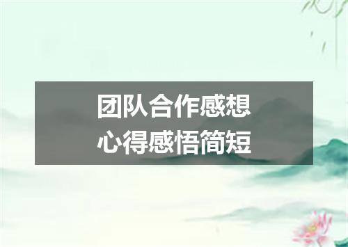团队合作感想心得感悟简短