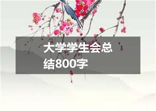 大学学生会总结800字