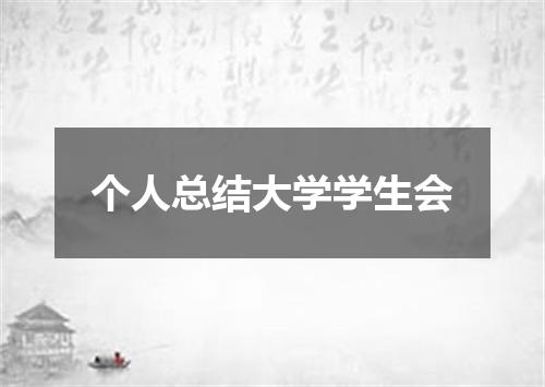 个人总结大学学生会