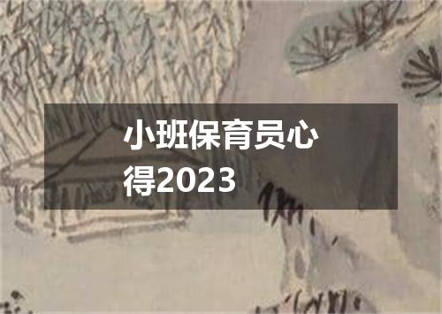 小班保育员心得2023