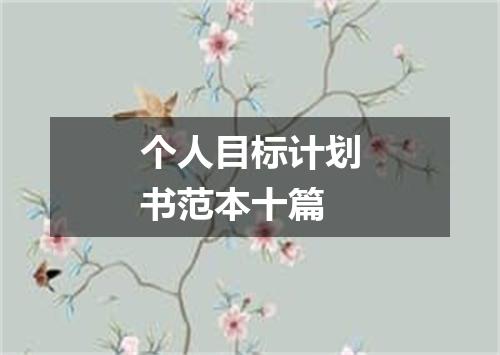 个人目标计划书范本十篇