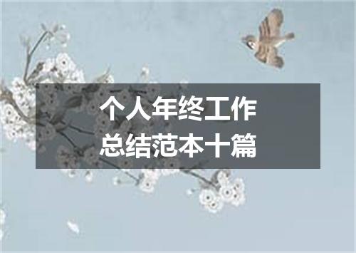 个人年终工作总结范本十篇