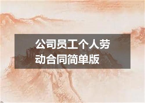 公司员工个人劳动合同简单版