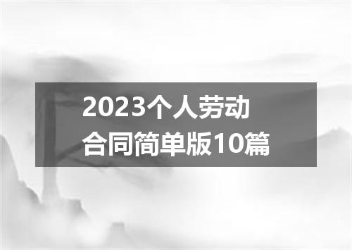 2023个人劳动合同简单版10篇