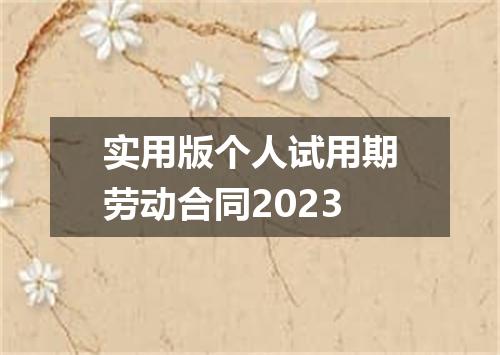 实用版个人试用期劳动合同2023