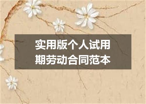 实用版个人试用期劳动合同范本