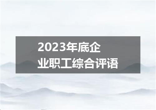 2023年底企业职工综合评语