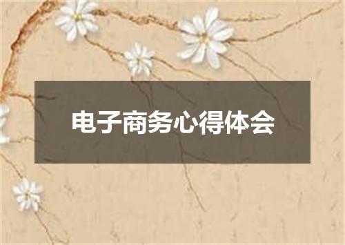 电子商务心得体会