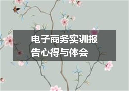 电子商务实训报告心得与体会