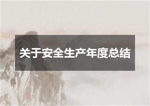 关于安全生产年度总结