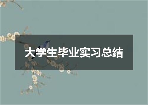 大学生毕业实习总结
