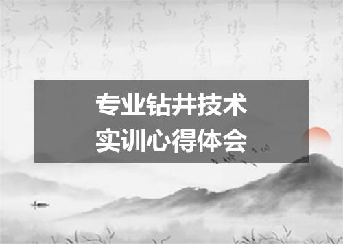 专业钻井技术实训心得体会