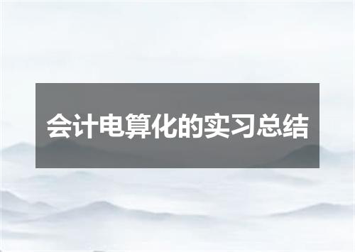 会计电算化的实习总结