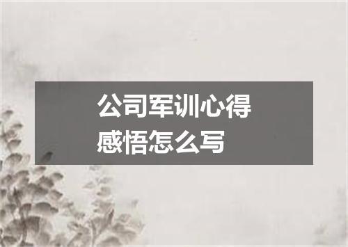 公司军训心得感悟怎么写