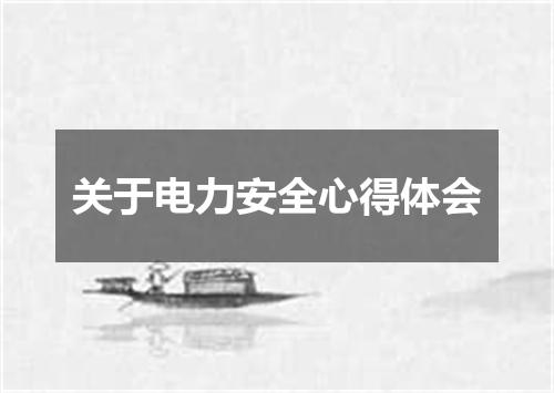 关于电力安全心得体会