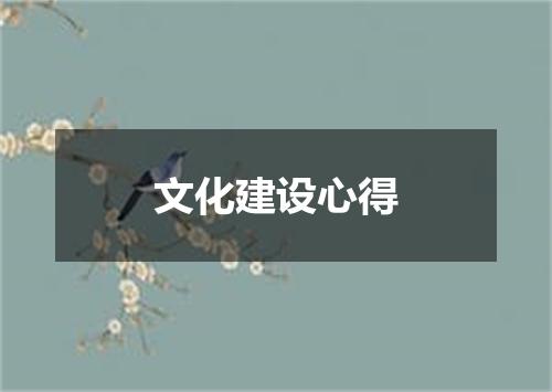 文化建设心得