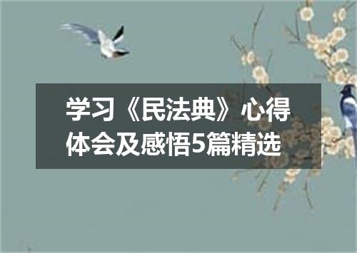 学习《民法典》心得体会及感悟5篇精选