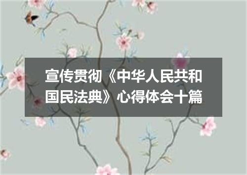宣传贯彻《中华人民共和国民法典》心得体会十篇
